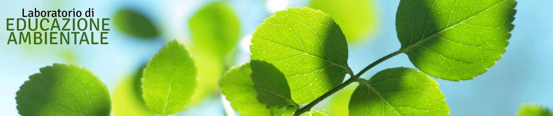 
    Laboratorio di educazione ambientale     